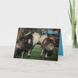 Ratty smiles Mother's Day Card
