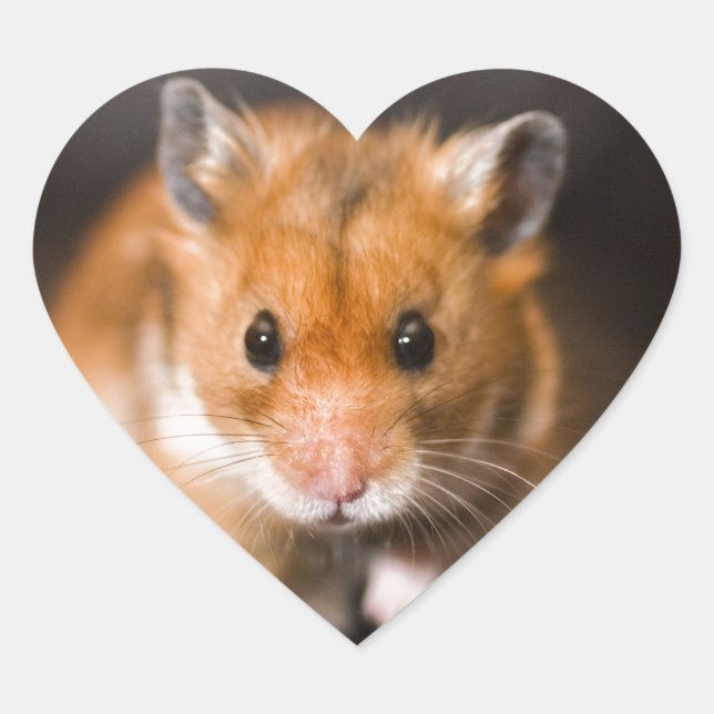 Ratty the hamster heart sticker (Front)