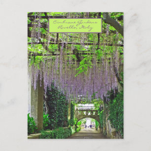 RAVELLO,ITALY/CIMBRONE GARDENS/CASCADING WISTERIA POSTCARD