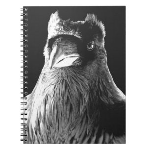 Raven Art Notebook Crow Art Journal Book