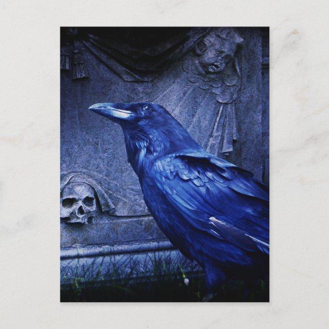 Raven At Tombstone Postcard (Front)