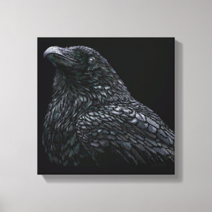 Raven Canvas Print