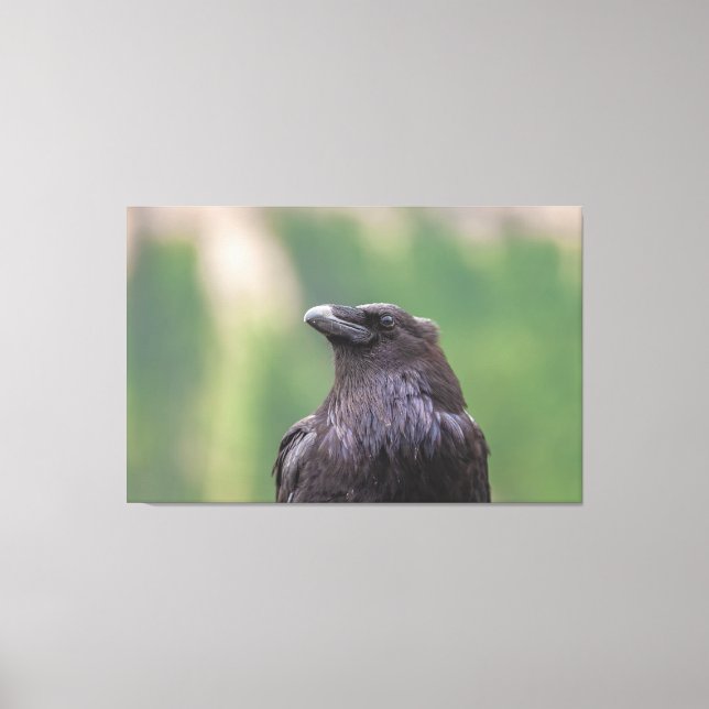 Raven Canvas Print (Front)