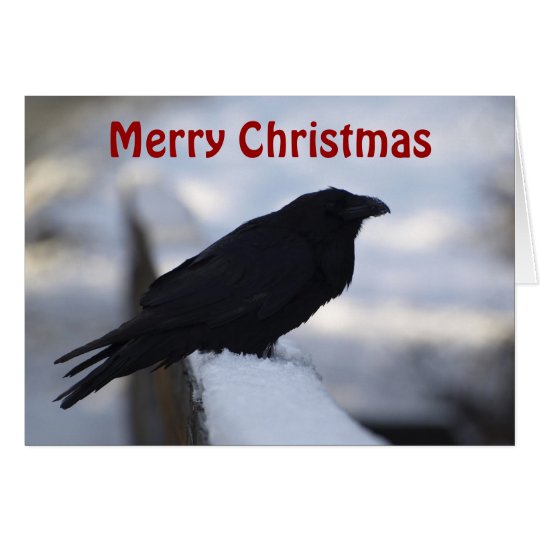 Raven Christmas Greeting Cards