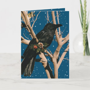 Raven Christmas Holiday Nature Bird Animal Crow