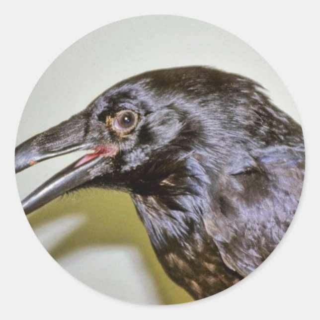 Raven Classic Round Sticker (Front)