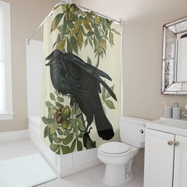 Raven (Common Raven) from Audubon Birds of America Shower Curtain (In Situ)