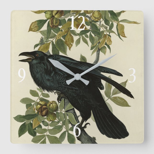Raven (Common Raven) from Audubon Birds of America Square Wall Clock (Front)