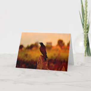 Raven crow at sunset holiday card