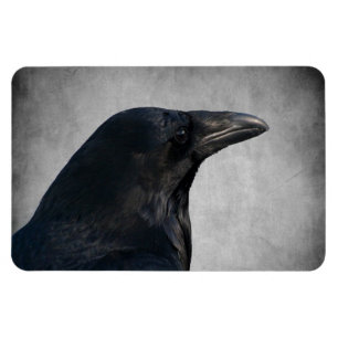 Raven Glamour Shot Magnet