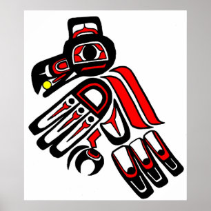raven haida poster