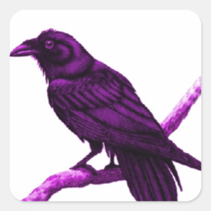 Raven in Purple Gifts by Sharles Square Sticker