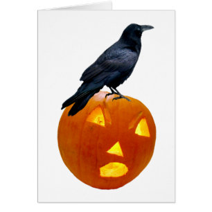 Raven Jack-o-Lantern Card