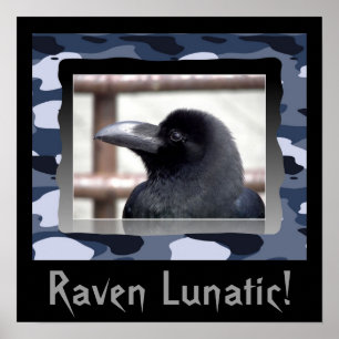 Raven Lunatic! Poster