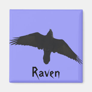Raven Magnets
