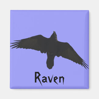 Raven Magnets