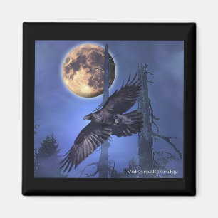 Raven Magnets