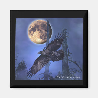 Raven Magnets