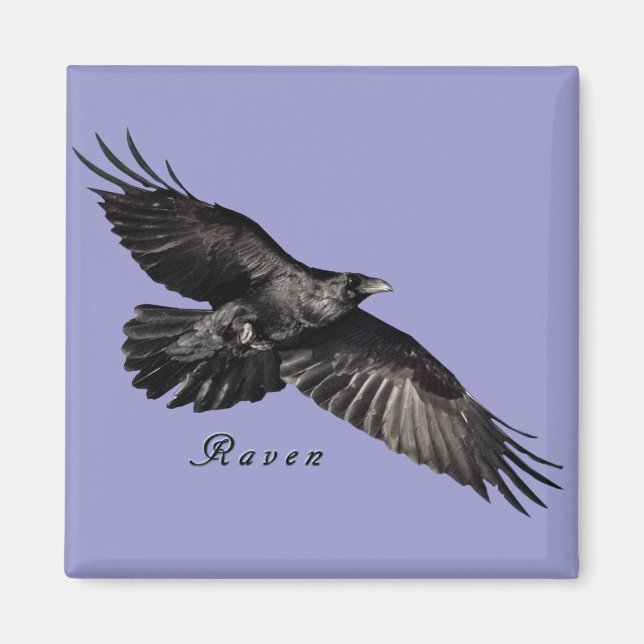 Raven Magnets (Front)
