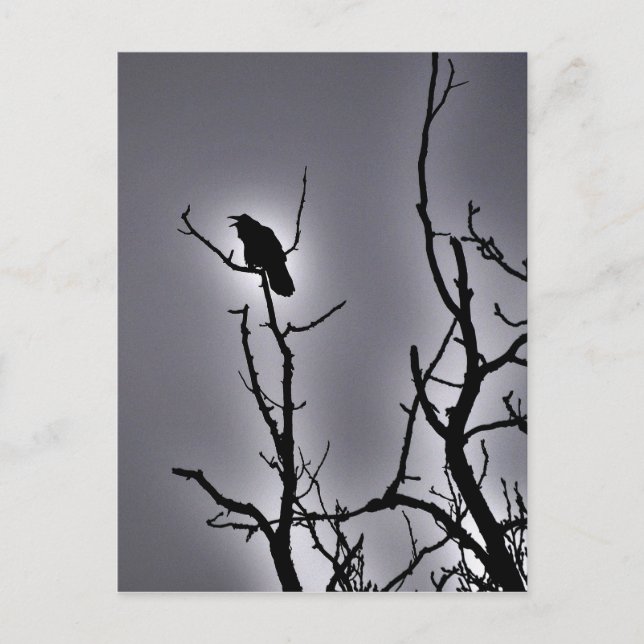 Raven On a Moonlit Night Postcard (Front)
