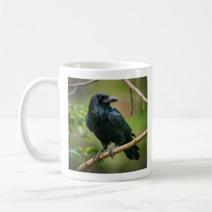 Raven on a Tree Branch Coffee Mug