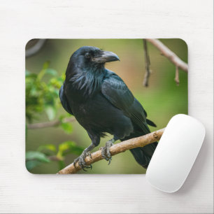 Raven on a Tree Branch Mouse Mat