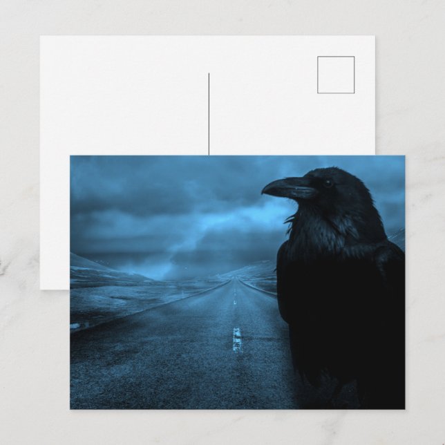 Raven on Road Postcard (Front/Back)