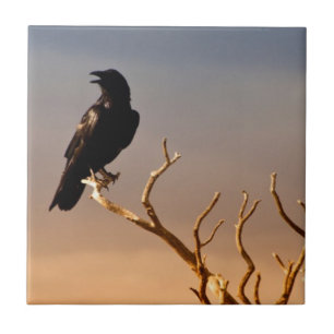 Raven on Sunlit Tree Branches, Grand Canyon Tile