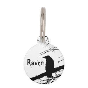 Raven on the Tree Black and White  Pet Tag