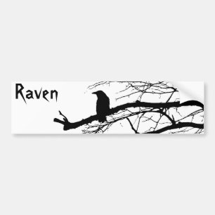 Raven on the Tree Bumper Sticker