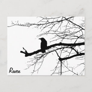 Raven on the Tree Postcard