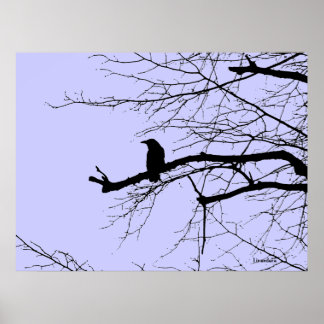 Raven on the Tree Poster