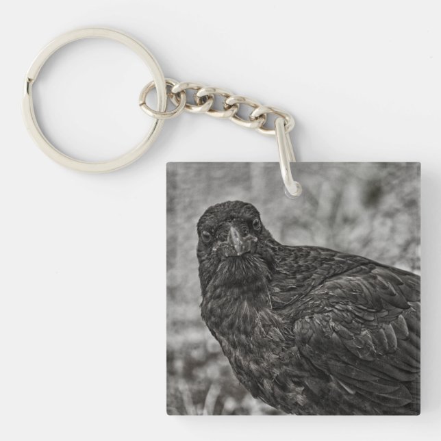 Raven P9239 Key Ring (Front)