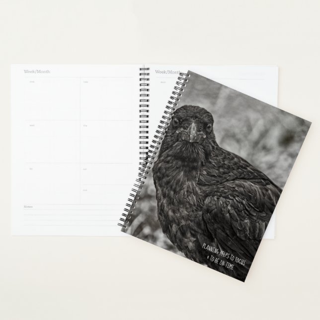 Raven P9239 Planner (Display)