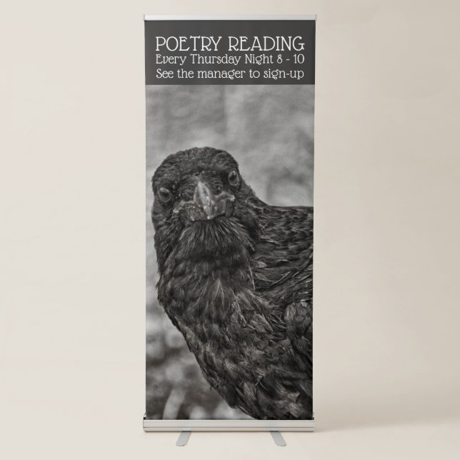 Raven P9239 Retractable Banner (Front)