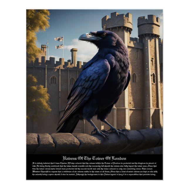 Raven Poster (Front)