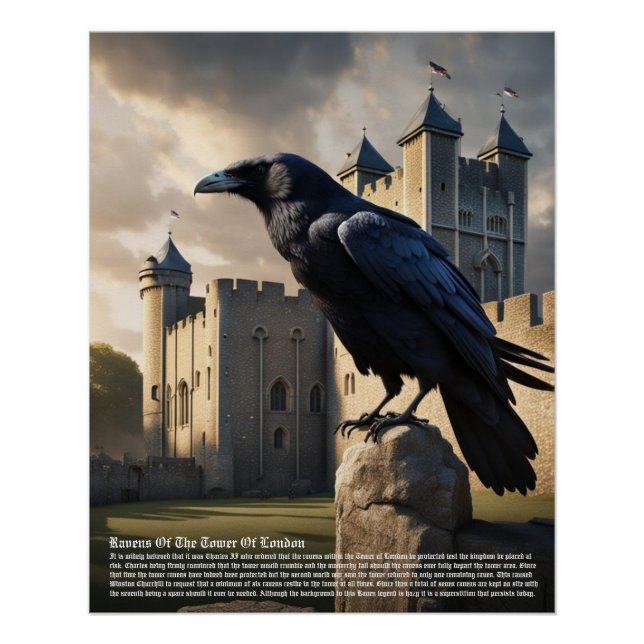 Raven Poster (Front)