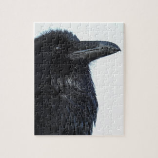 Raven Puzzle