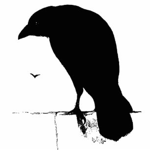 Raven Silhouette - Vintage Goth Ravens & Crows Photo Sculpture Magnet