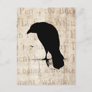 Raven Silhouette - Vintage Retro Ravens & Crows Postcard