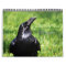 Raven Spirit Messages 2016 Calender