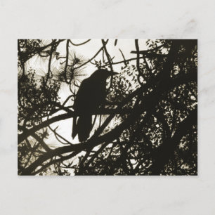 Raven Steampunk Postcard