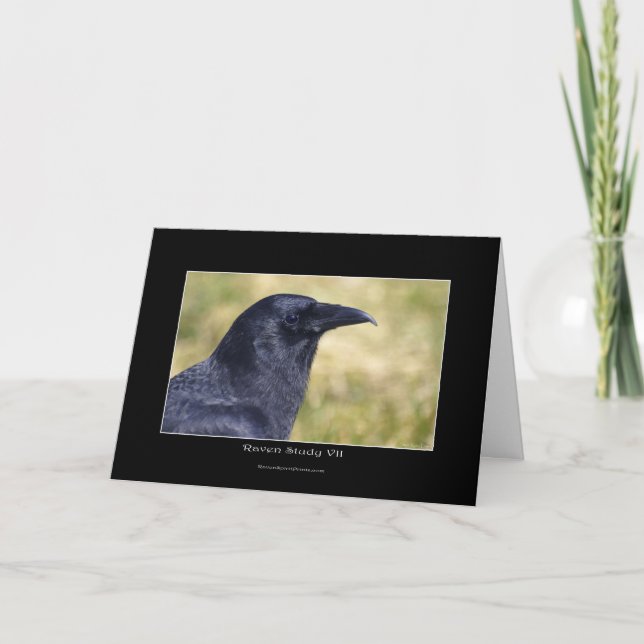 RAVEN STUDY Collection Holiday Card (Front)