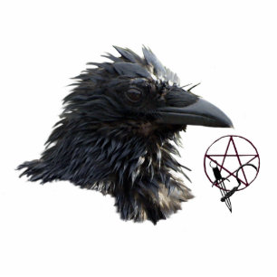 Raven Wiccan Pentacle (sculpted) Magnet Photo Sculpture Magnet