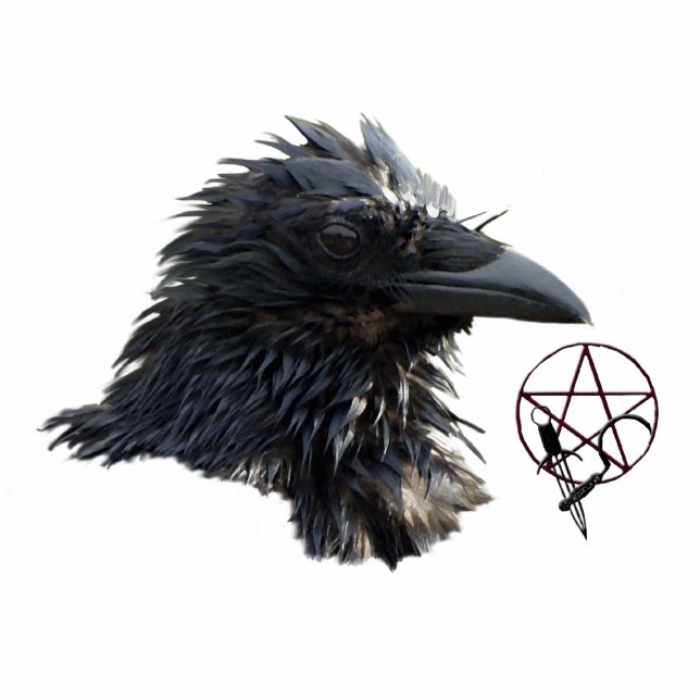 Raven Wiccan Pentacle (sculpted) Magnet Photo Sculpture Magnet (Front)