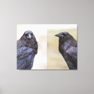 Ravens Canvas Print