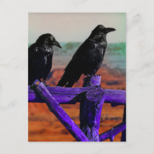 Ravens Postcard