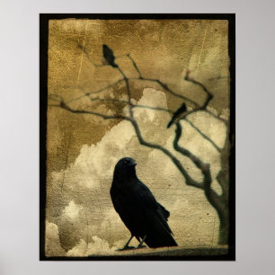 Ravens Poster