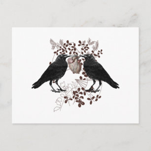 Ravens vying for heart postcard