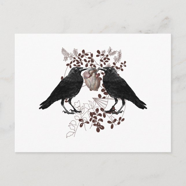 Ravens vying for heart postcard (Front)